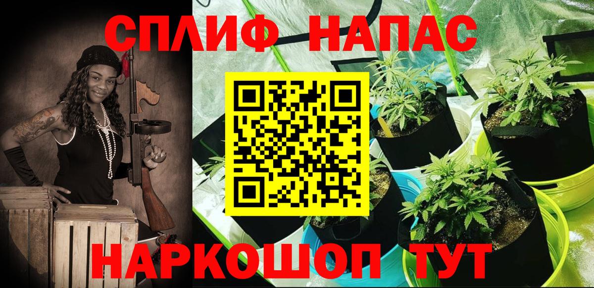 Каннабис OG Kush Соликамск